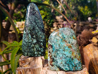 Polished African Turquoise Chrysocolla Standing Free Forms x 3 From South Africa