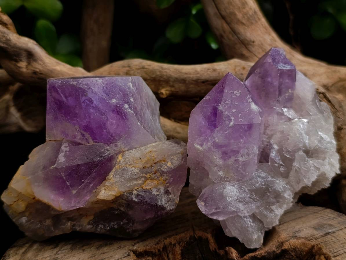 Natural Jacaranda Amethyst Quartz Clusters x 4 From Mumbwa, Zambia - Toprock Gemstones and Minerals 