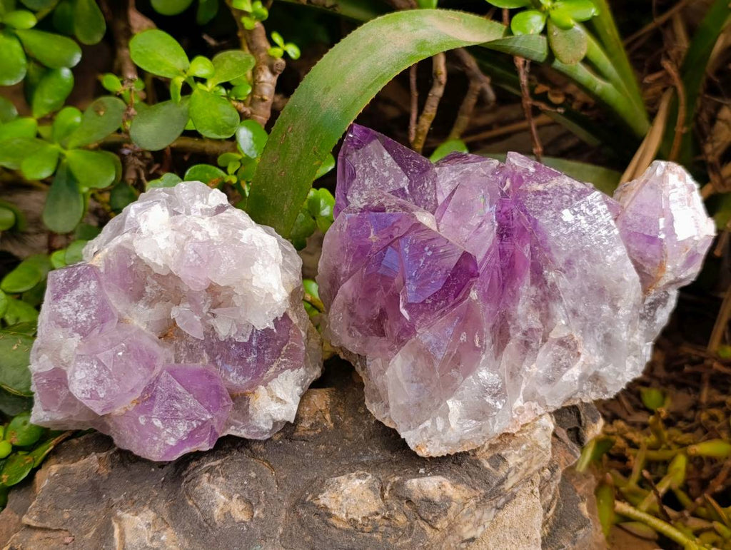 Natural Jacaranda Amethyst Quartz Clusters x 4 From Mumbwa, Zambia - Toprock Gemstones and Minerals 