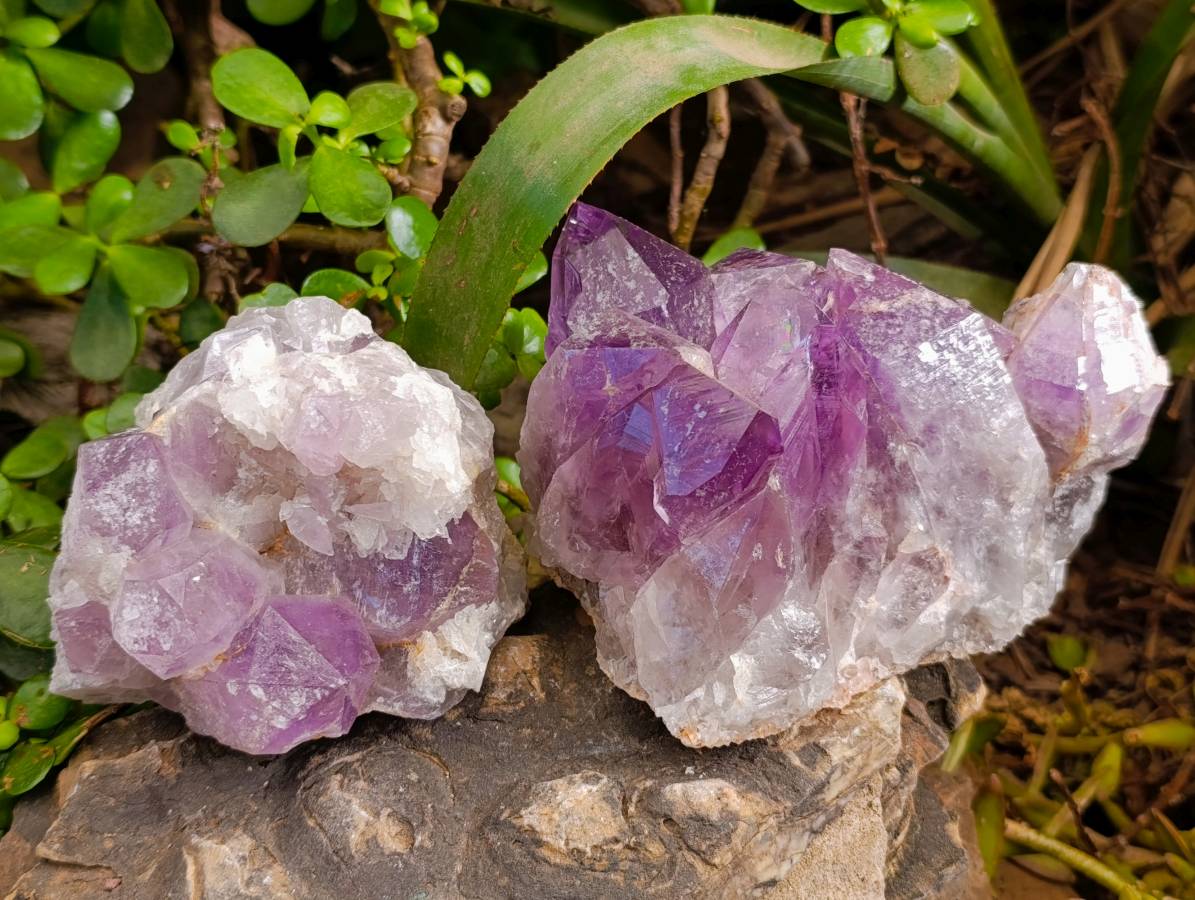 Natural Jacaranda Amethyst Quartz Clusters x 4 From Mumbwa, Zambia - Toprock Gemstones and Minerals 