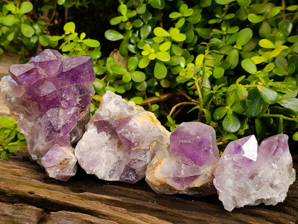 Natural Jacaranda Amethyst Quartz Clusters x 4 From Mumbwa, Zambia - Toprock Gemstones and Minerals 