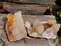 Natural Spirit Quartz Specimens x 20 From South Africa
