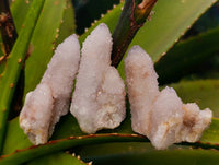 Natural Spirit Quartz Specimens x 20 From South Africa