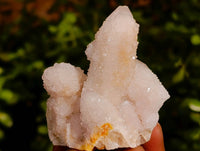 Natural Spirit Quartz Specimens x 20 From South Africa