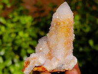 Natural Spirit Quartz Specimens x 20 From South Africa