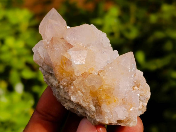 Natural Spirit Quartz Specimens x 20 From South Africa - Toprock Gemstones and Minerals 