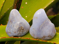 Polished Blue Lace Agate Tumbled Stones x 35 From Malawi