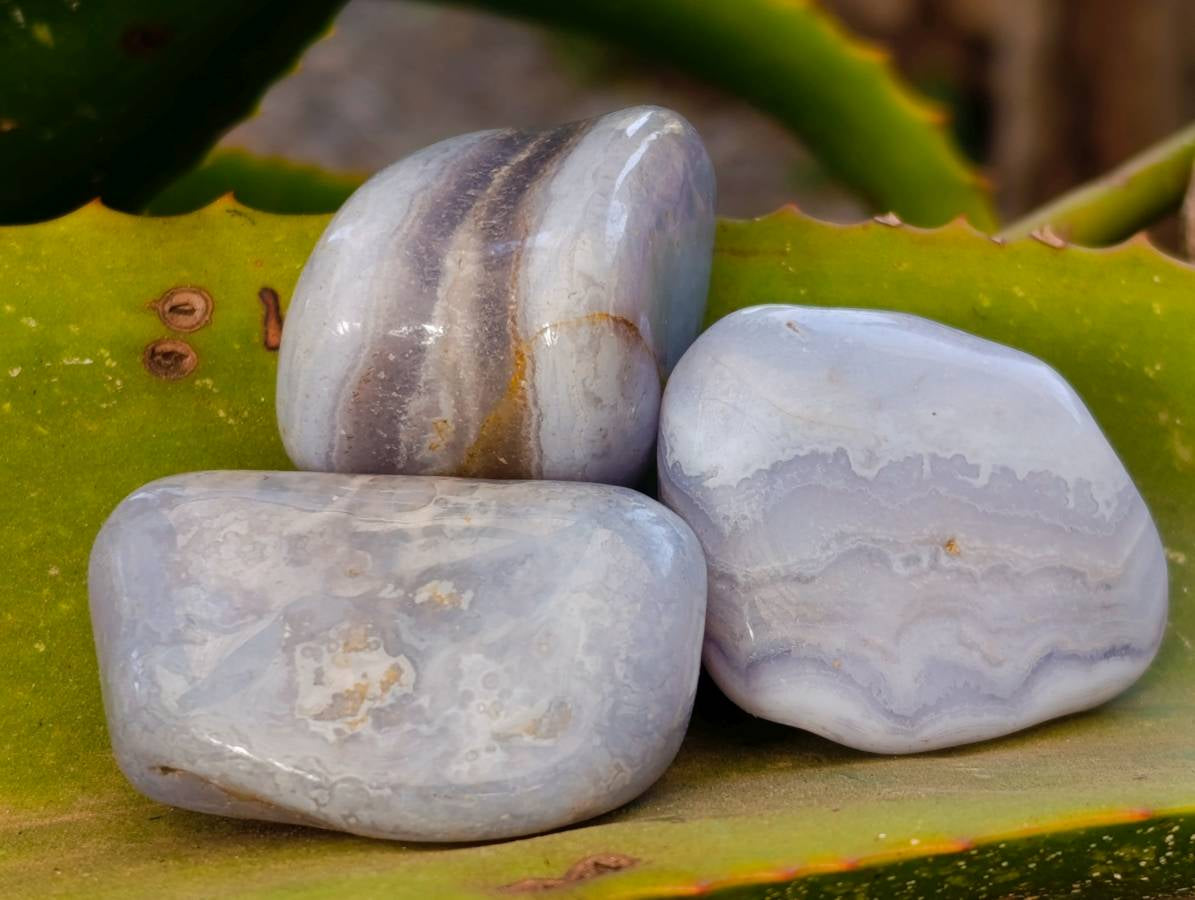 Polished Blue Lace Agate Tumbled Stones x 35 From Malawi - Toprock Gemstones and Minerals 
