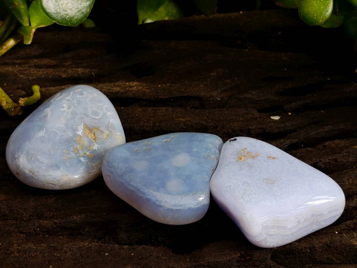 Polished Blue Lace Agate Tumbled Stones x 35 From Malawi - Toprock Gemstones and Minerals 