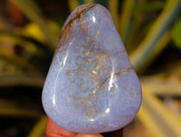 Polished Blue Lace Agate Tumbled Stones x 35 From Malawi