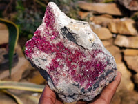 Natural Salrose Cobaltion Dolomite Specimens x 2 From Kakanda, Congo