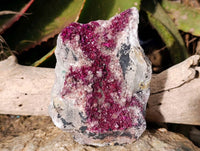 Natural Salrose Cobaltion Dolomite Specimens x 2 From Kakanda, Congo