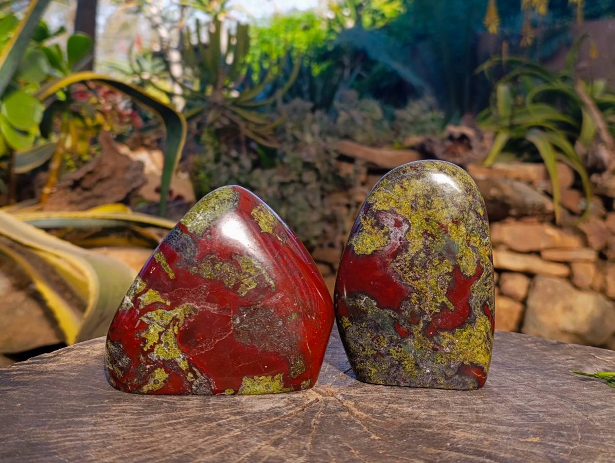 Polished Bastite Dragon Bloodstone Standing Free Forms x 2 From South Africa - Toprock Gemstones and Minerals 