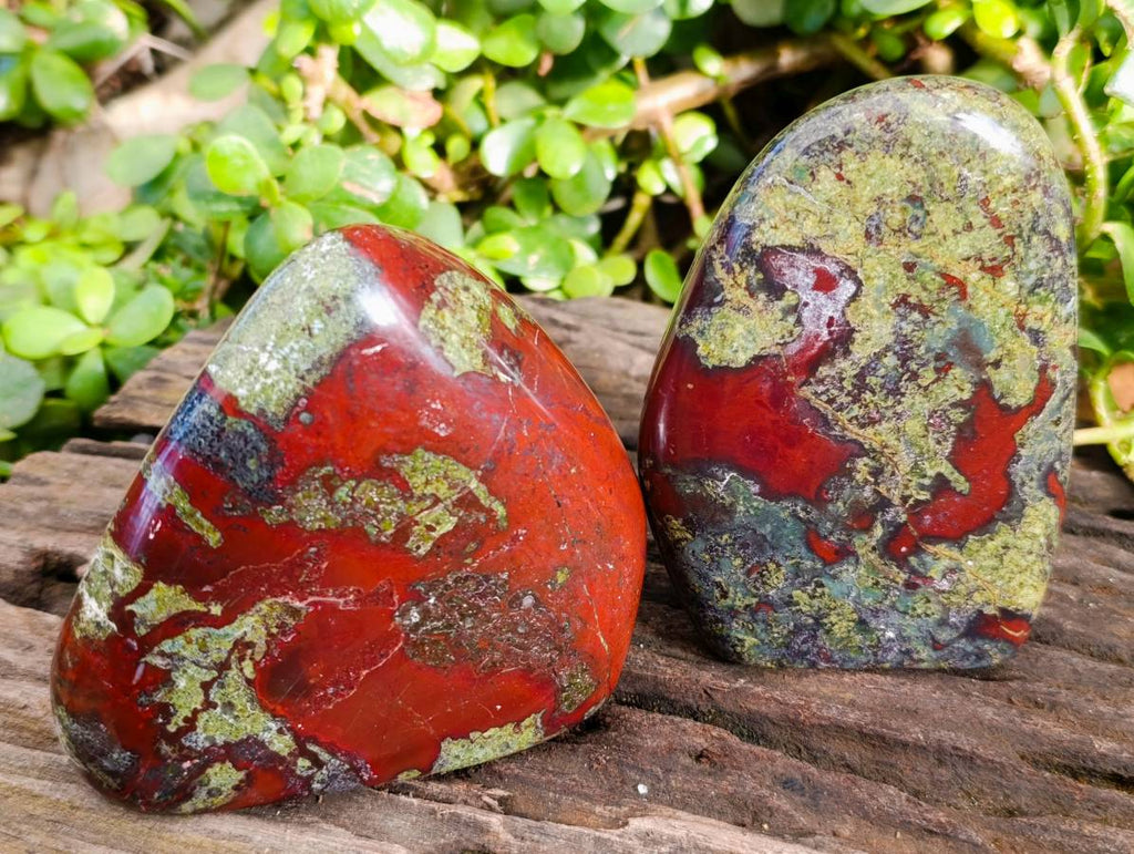 Polished Bastite Dragon Bloodstone Standing Free Forms x 2 From South Africa - Toprock Gemstones and Minerals 
