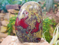 Polished Bastite Dragon Bloodstone Standing Free Forms x 2 From South Africa