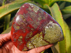 Polished Bastite Dragon Bloodstone Standing Free Forms x 2 From South Africa - Toprock Gemstones and Minerals 