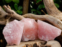 Natural Pink Rose Quartz Cobbed Specimens x 24 From North Cape, South Africa - Toprock Gemstones and Minerals 