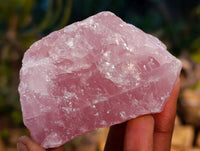 Natural Pink Rose Quartz Cobbed Specimens x 24 From North Cape, South Africa - Toprock Gemstones and Minerals 