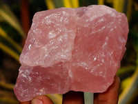 Natural Pink Rose Quartz Cobbed Specimens x 24 From North Cape, South Africa - Toprock Gemstones and Minerals 