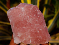 Natural Pink Rose Quartz Cobbed Specimens x 24 From North Cape, South Africa - Toprock Gemstones and Minerals 
