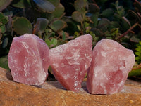 Natural Pink Rose Quartz Cobbed Specimens x 24 From North Cape, South Africa - Toprock Gemstones and Minerals 