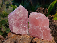 Natural Pink Rose Quartz Cobbed Specimens x 24 From North Cape, South Africa - Toprock Gemstones and Minerals 