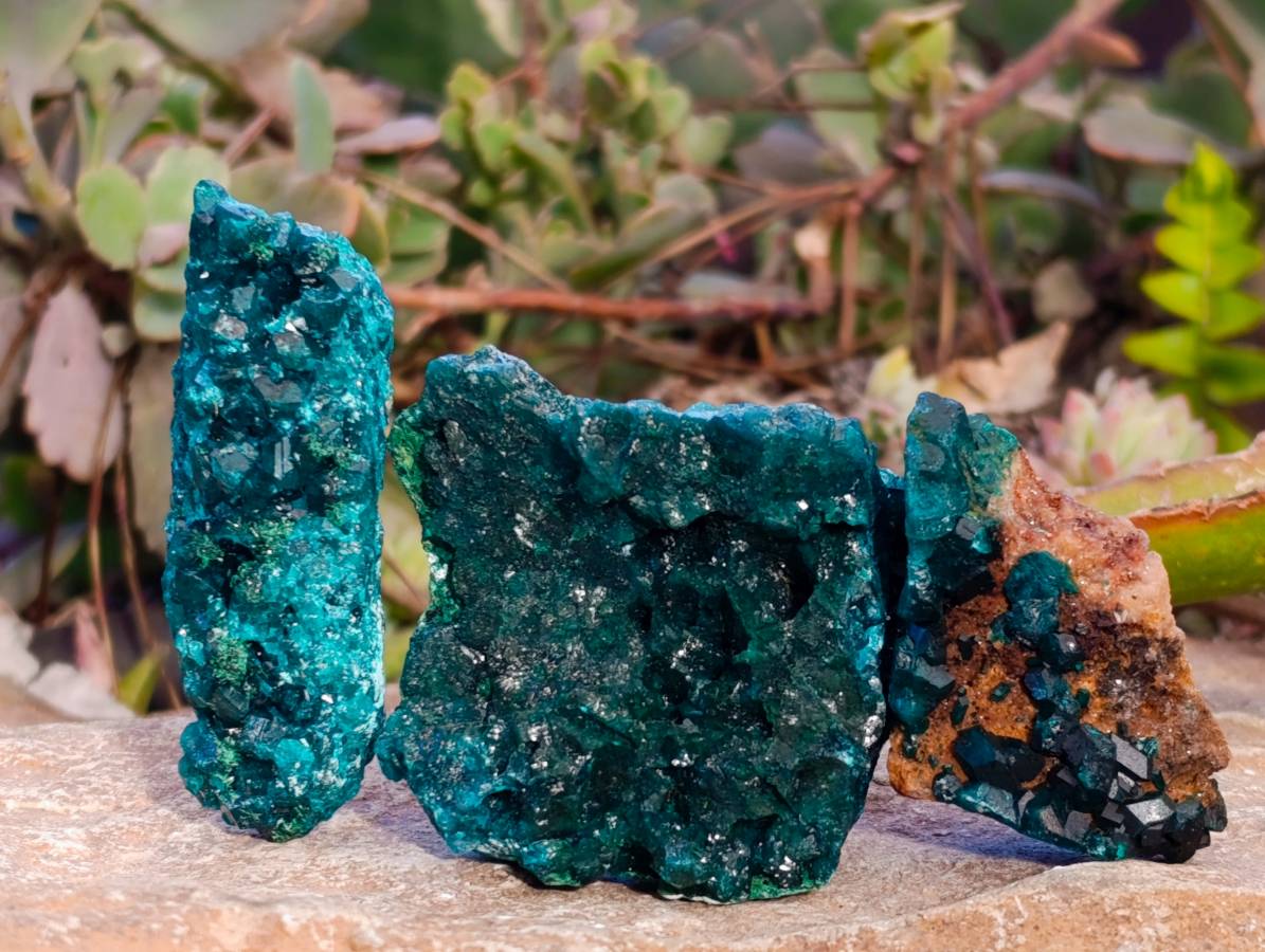 Natural Dioptase On Dolomite Specimens x 12 From Likasi, Congo - Toprock Gemstones and Minerals 