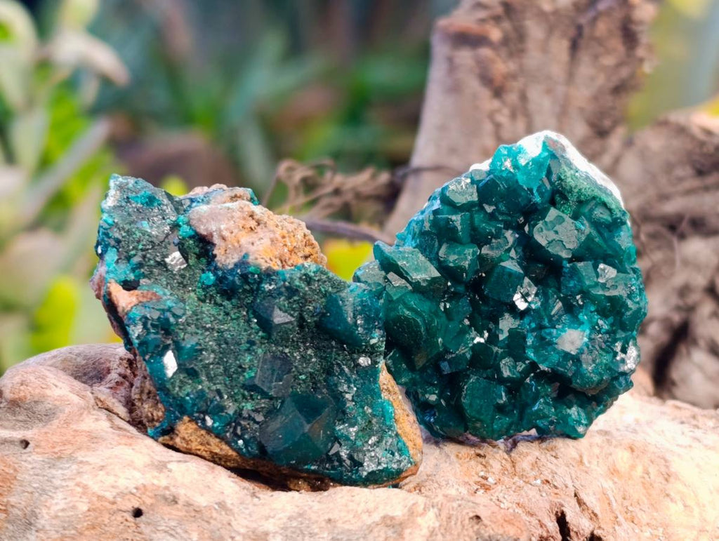 Natural Dioptase On Dolomite Specimens x 12 From Likasi, Congo - Toprock Gemstones and Minerals 