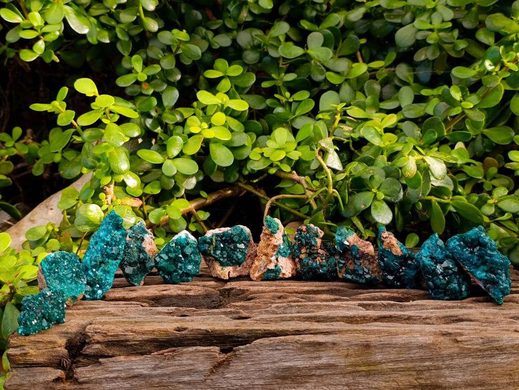 Natural Dioptase On Dolomite Specimens x 12 From Likasi, Congo - Toprock Gemstones and Minerals 