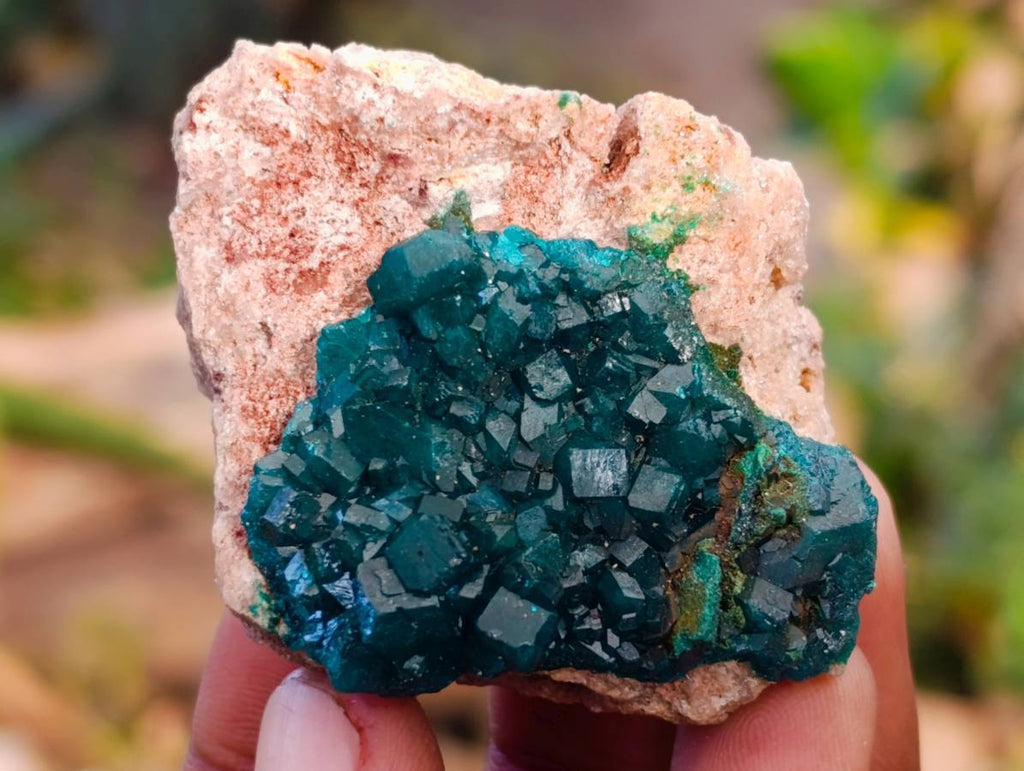Natural Dioptase On Dolomite Specimens x 12 From Likasi, Congo - Toprock Gemstones and Minerals 