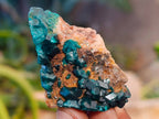 Natural Dioptase On Dolomite Specimens x 12 From Likasi, Congo - Toprock Gemstones and Minerals 