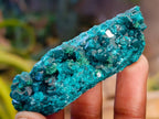 Natural Dioptase On Dolomite Specimens x 12 From Likasi, Congo - Toprock Gemstones and Minerals 
