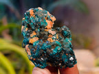 Natural Dioptase On Dolomite Specimens x 12 From Likasi, Congo - Toprock Gemstones and Minerals 