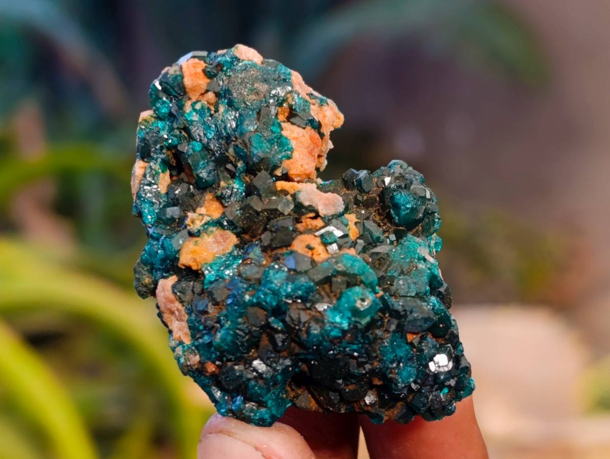 Natural Dioptase On Dolomite Specimens x 12 From Likasi, Congo - Toprock Gemstones and Minerals 