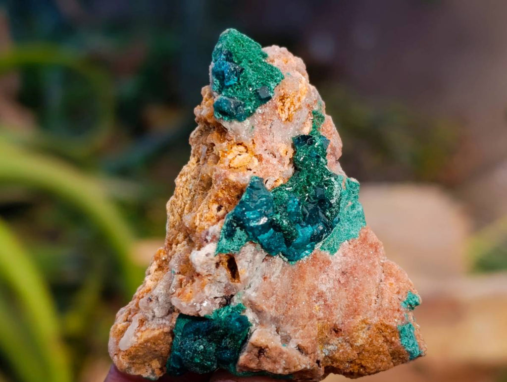 Natural Dioptase On Dolomite Specimens x 12 From Likasi, Congo - Toprock Gemstones and Minerals 