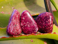 Polished Mixed Assortment Of Tumbled Stones x 2.7 Kg Lot From Southern Africa