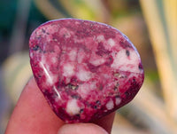 Polished Mixed Assortment Of Tumbled Stones x 2.7 Kg Lot From Southern Africa