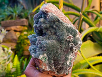 Natural Ball Malachite On Dolomite Matrix Specimen x 1 From Likasi, Congo