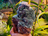Natural Ball Malachite On Dolomite Matrix Specimen x 1 From Likasi, Congo