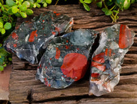 Natural Cobbed Bloodstone Specimens x 3 From Swaziland