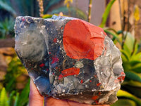 Natural Cobbed Bloodstone Specimens x 3 From Swaziland