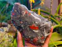 Natural Cobbed Bloodstone Specimens x 3 From Swaziland