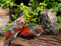 Natural Cobbed Bloodstone Specimens x 3 From Swaziland