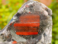 Natural Cobbed Bloodstone Specimens x 3 From Swaziland