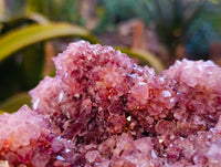 Natural Amethyst Spirit Quartz Clusters x 2 From South Africa