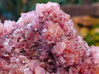 Natural Amethyst Spirit Quartz Clusters x 2 From South Africa