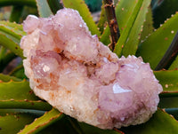 Natural Amethyst Spirit Quartz Clusters x 2 From South Africa