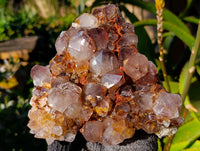 Natural Amethyst Spirit Quartz Clusters x 3 From Boekenhouthoek, South Africa