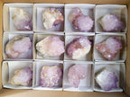 Natural Amethyst Spirit Quartz Clusters x 12 From Boekenhouthoek, South Africa - Toprock Gemstones and Minerals 