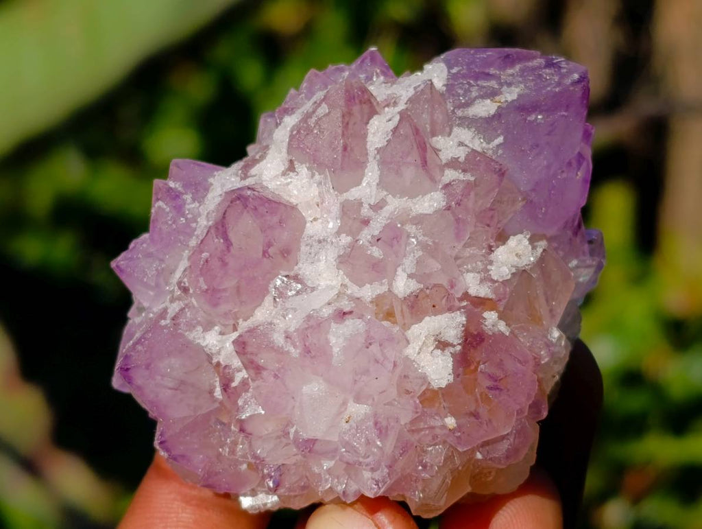 Natural Amethyst Spirit Quartz Clusters x 12 From Boekenhouthoek, South Africa - Toprock Gemstones and Minerals 